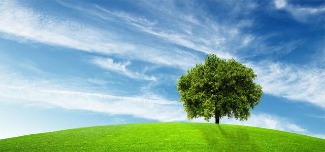 Green hill